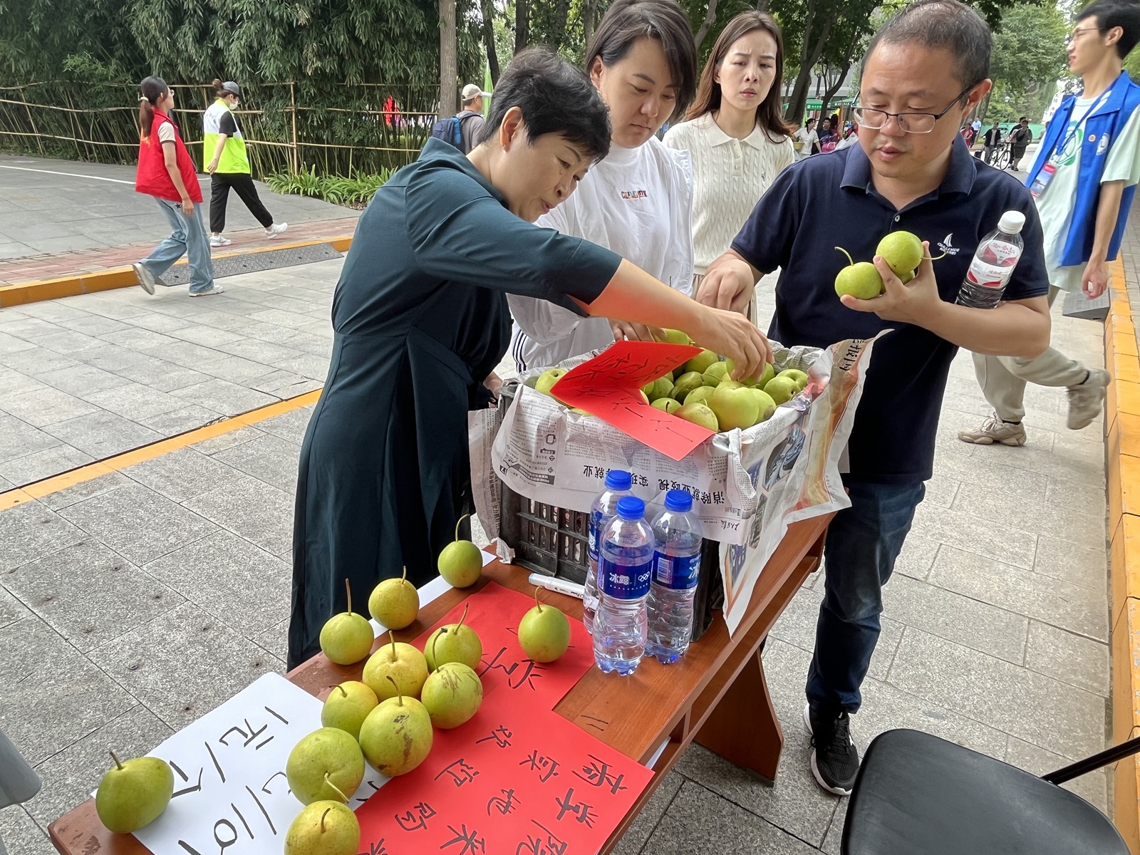 探花视频