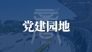 探花视频